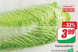 Dino Kapusta pekińska polska oferta