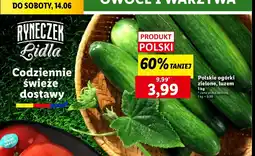 Lidl Ogórki polskie oferta