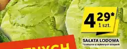 ABC Sałata lodowa ABC oferta