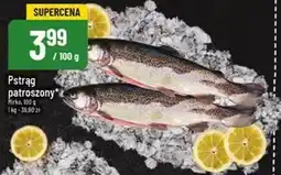 Polomarket Pstrąg Mirko oferta