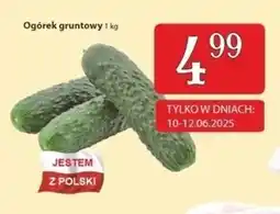Społem Ogórek Polski oferta