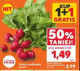 Kaufland Rzodkiewka oferta