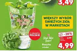 Kaufland Bazylia K-classic stąd takie dobre! oferta