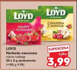Kaufland Herbata żurawina z imbirem Loyd tea the magic experience oferta