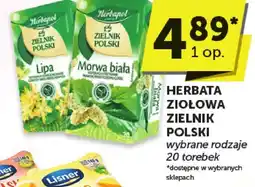 ABC Herbata ziołowa zielnik polski lipa 20 torebek Herbapol oferta