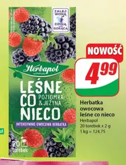 Dino Herbata owocowa Herbapol oferta