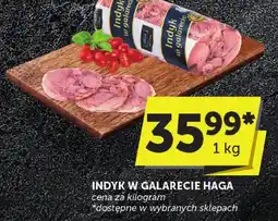 ABC Indyk w galarecie haga oferta