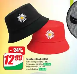Dino Kapelusz oferta