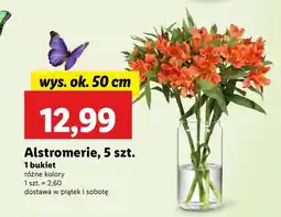 Lidl Bukiet oferta