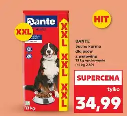 Kaufland Karma dla psów wołowina Dante oferta