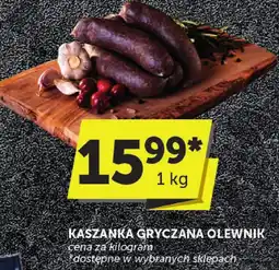 ABC Kaszanka gryczana olewnik oferta