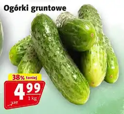 Prim Market Ogórki gruntowe 1 kg Prim Market oferta