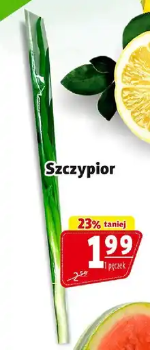 Prim Market Szczypior 1 pęczek Prim Market oferta