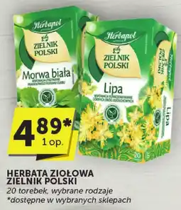 ABC Herbata ziołowa Zielnik Polski 20 torebek Herbapol oferta