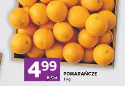 Stokrotka Pomarańcze Stokrotka oferta