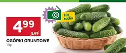 Stokrotka Ogórki gruntowe 1 kg Stokrotka oferta