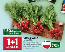 Stokrotka Rzodkiewka 1 pęczek Stokrotka oferta