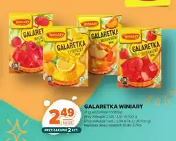 Stokrotka Galaretka Winiary oferta