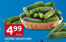 Stokrotka Ogórki gruntowe 1kg Stokrotka oferta