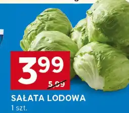 Stokrotka Sałata lodowa Stokrotka oferta