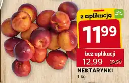 Stokrotka Nektarynki 1kg Stokrotka oferta