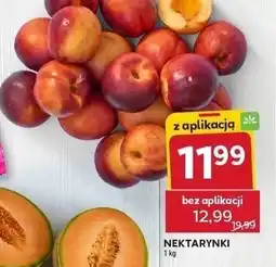 Stokrotka Melon Cantaloupe 1kg Stokrotka oferta