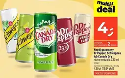 Dealz Napój ginger ale Canada Dry oferta