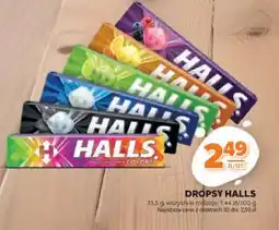 Stokrotka Market Dropsy Halls oferta