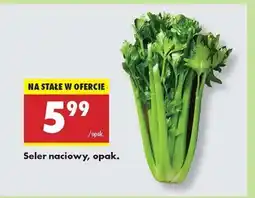 Biedronka Seler naciowy opak oferta