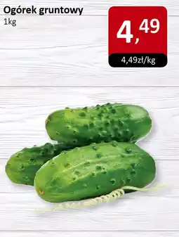 Market Point Ogórek gruntowy 1kg Market Point oferta