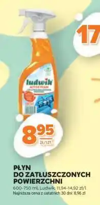 Stokrotka Market Płyn do Zatłuszczonych Powierzchni oferta