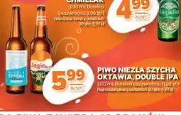 Stokrotka Market Piwo Chmielak oferta