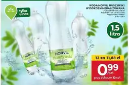 Stokrotka Market Woda Norvil Muszyński Wysokozmineralizowana oferta