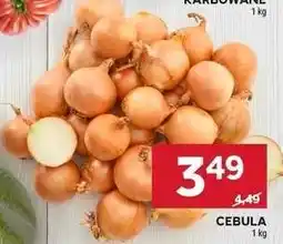 Stokrotka Market Cebula oferta