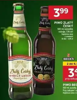 Stokrotka Market Piwo Zlatý Český oferta