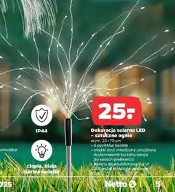 Netto Dekoracja solarna LED – sztuczne ognie oferta