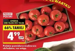 Biedronka Polskie pomidory malinowe układane na wage oferta