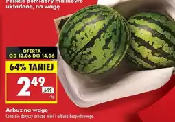 Biedronka Arbuz na wagę oferta