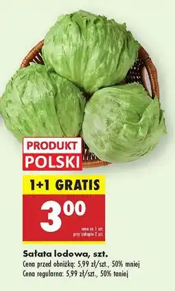 Biedronka Sałata lodowa szt oferta
