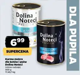 Netto Dolina Noteci premium oferta