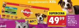 Biedronka Karma dla psa Pedigree, 40x100 g oferta