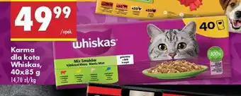 Biedronka Karma dla kota Whiskas, 40x85 g oferta