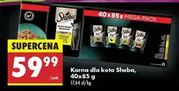 Biedronka Karma dla kota Sheba, 40x85 g oferta