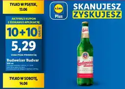 Lidl Budweiser Budvar oferta