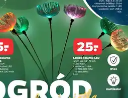 Netto Lampa solarna kwiatek oferta