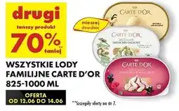Lody pistachio delight Algida Carte D'or Les Desserts