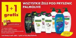 Biedronka Żel pod prysznic massage Palmolive Natural Wellness oferta