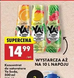 Biedronka Syrop do saturatorów cytryna-limonka Excellence Ya! oferta