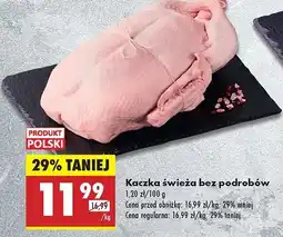 Biedronka Kaczka bez podrobów oferta
