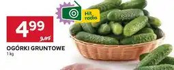 Stokrotka Market Ogórki Hit oferta